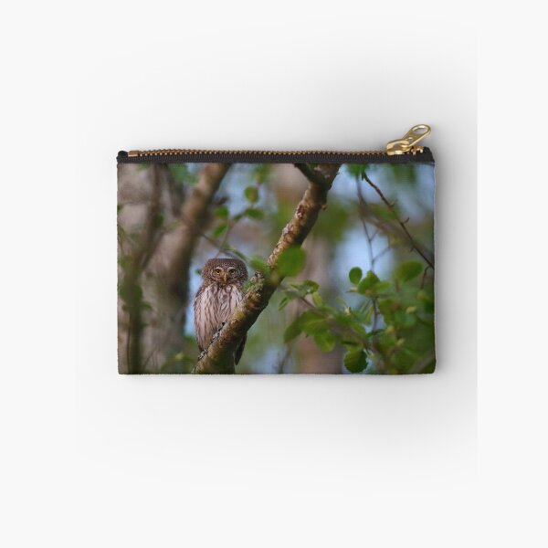 Item preview, Pygmy owl designed and sold by Remo Savisaar.