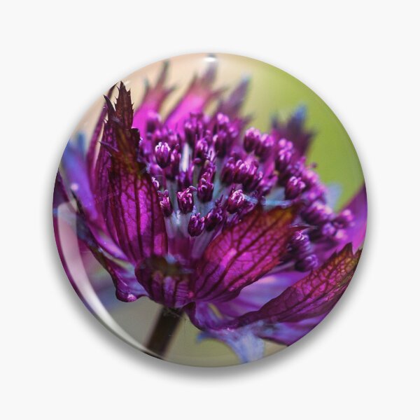 Item preview, Looking A View  designed and sold by Carl Gaynor.