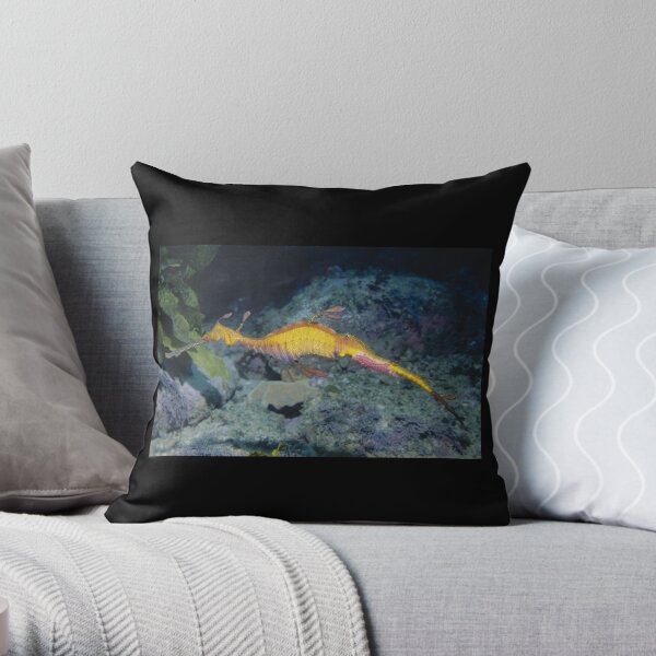 Weedy Seadragon male with eggs Throw Pillow