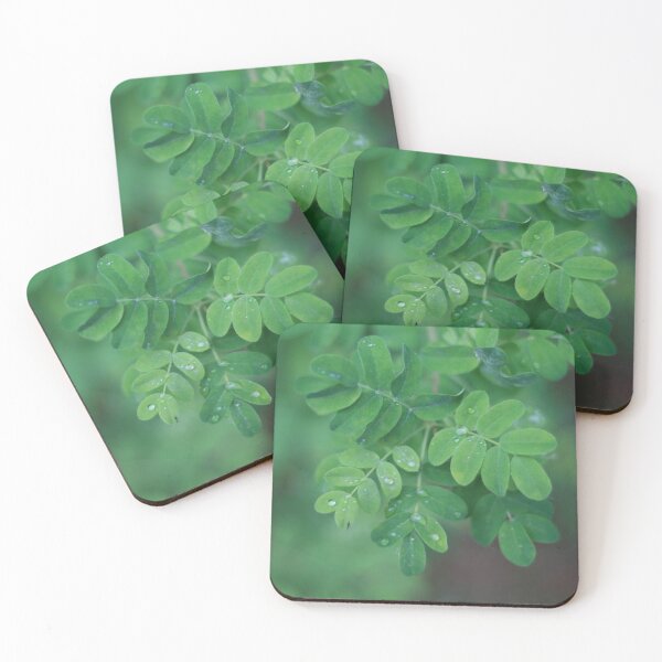 Item preview, Verdant Peace designed and sold by PoetInADaydream.