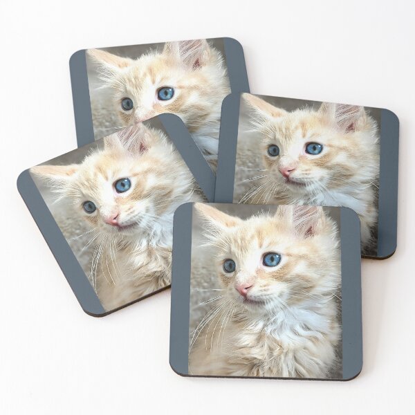 Item preview, Ragdoll Mainecoon kitten designed and sold by Fluffycat2020.