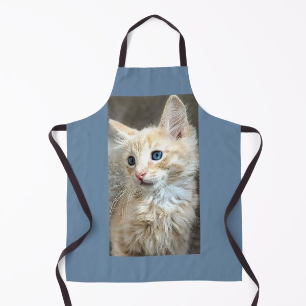 Item preview, Ragdoll Mainecoon kitten designed and sold by Fluffycat2020.