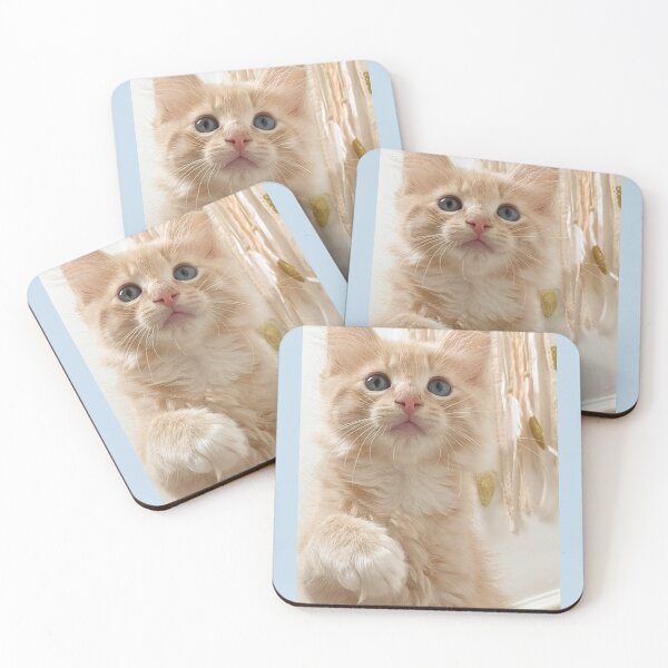 Item preview, Ragdoll Mainecoon kitten designed and sold by Fluffycat2020.