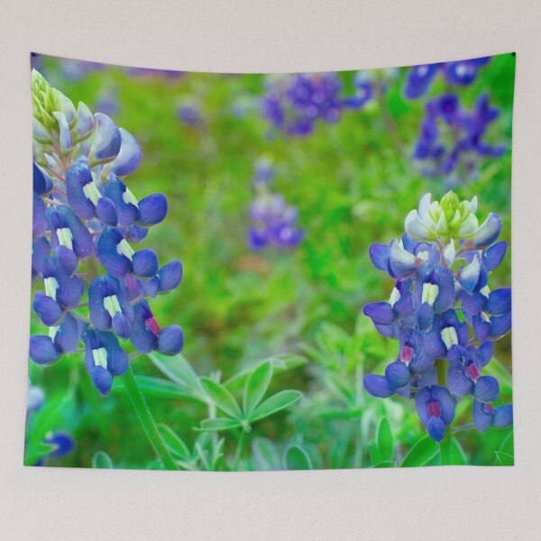 Item preview, Bluebonnet Morning Colors designed and sold by seatheskies.