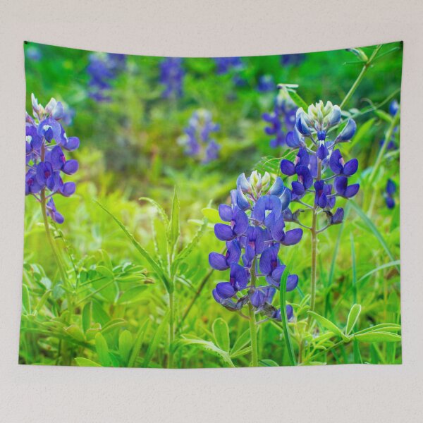 Item preview, Field of Bluebonnets designed and sold by seatheskies.