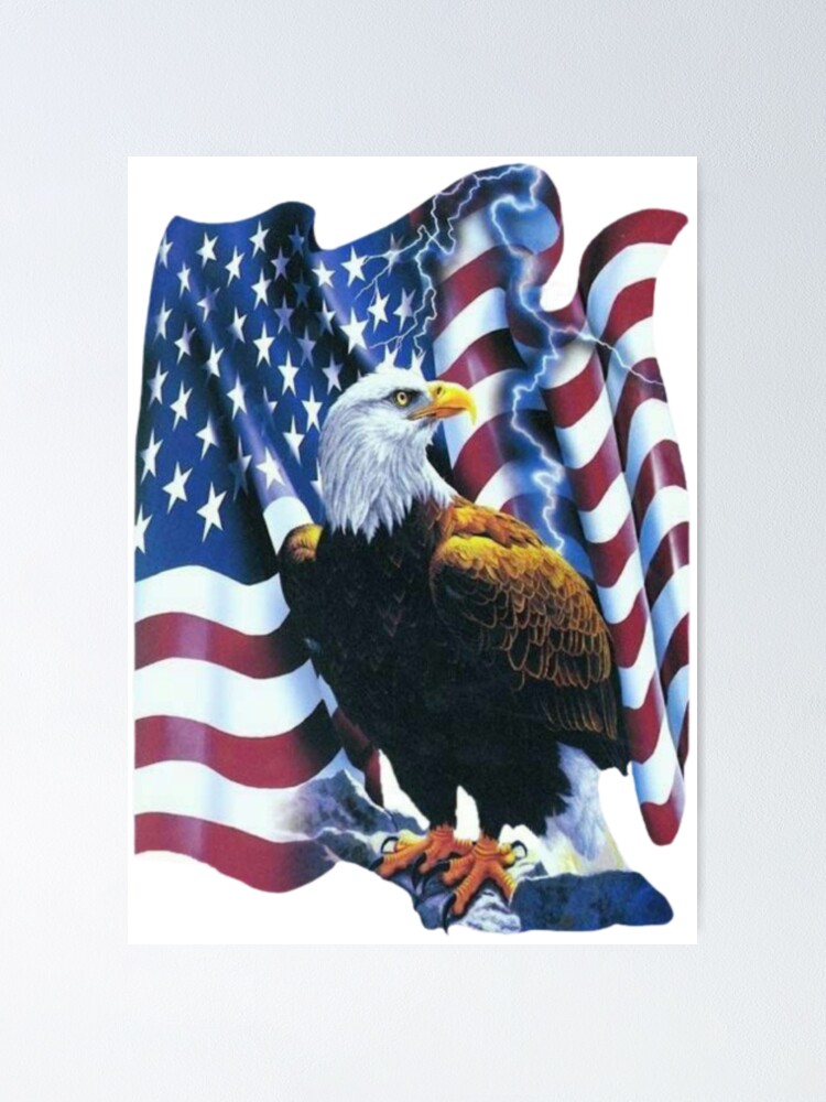 American Flag Eagle 4th of July Patriotic USA 3D AOP Baseball