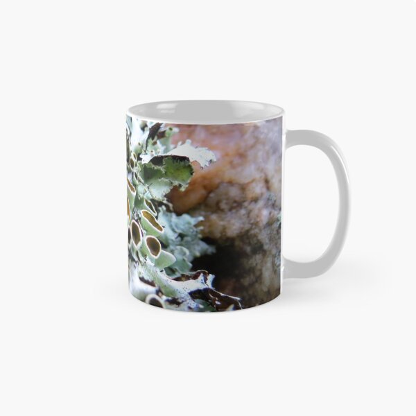 Item preview, Stalked-cup Lichen designed and sold by Jean Gregory Evans.