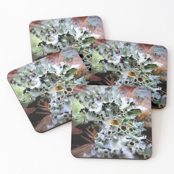 Item preview, Stalked-cup Lichen designed and sold by Jean Gregory Evans.