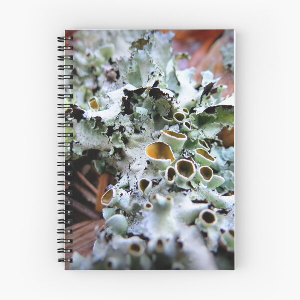 Item preview, Stalked-cup Lichen designed and sold by Jean Gregory Evans.