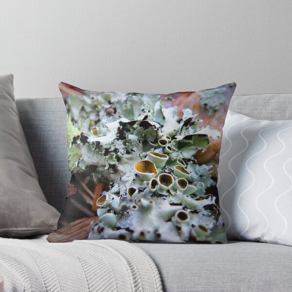 Item preview, Stalked-cup Lichen designed and sold by Jean Gregory Evans.