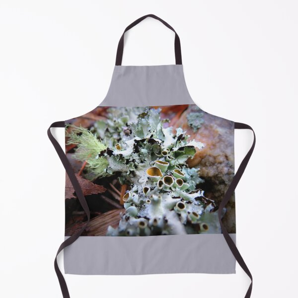 Item preview, Stalked-cup Lichen designed and sold by Jean Gregory Evans.