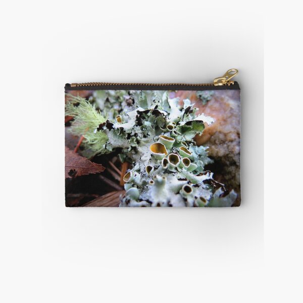 Item preview, Liquen acerado designed and sold by Jean Gregory Evans.