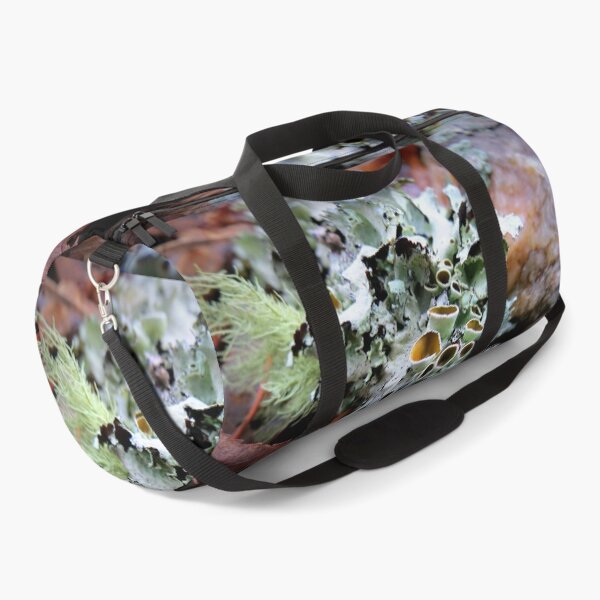 Item preview, Stalked-cup Lichen designed and sold by Jean Gregory Evans.