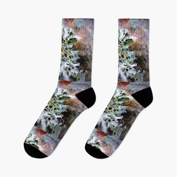 Item preview, Stalked-cup Lichen designed and sold by Jean Gregory Evans.