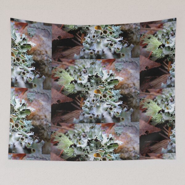 Item preview, Stalked-cup Lichen designed and sold by Jean Gregory Evans.