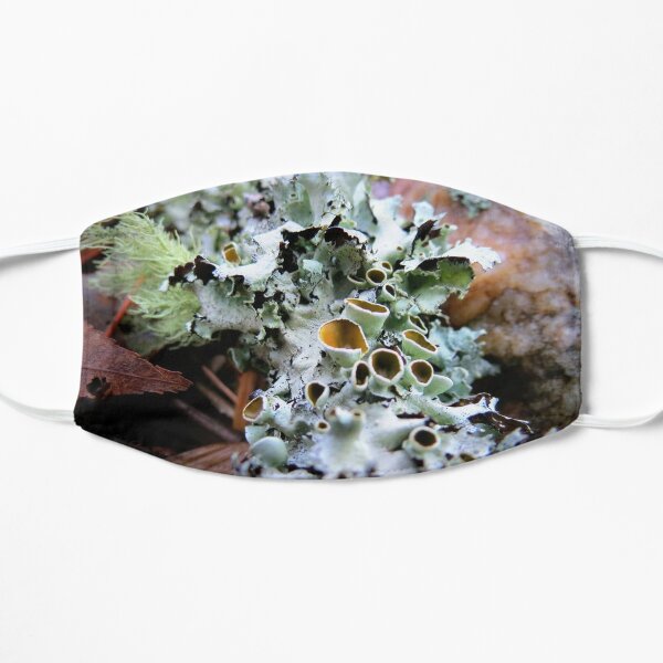Stalked-cup Lichen Flat Mask