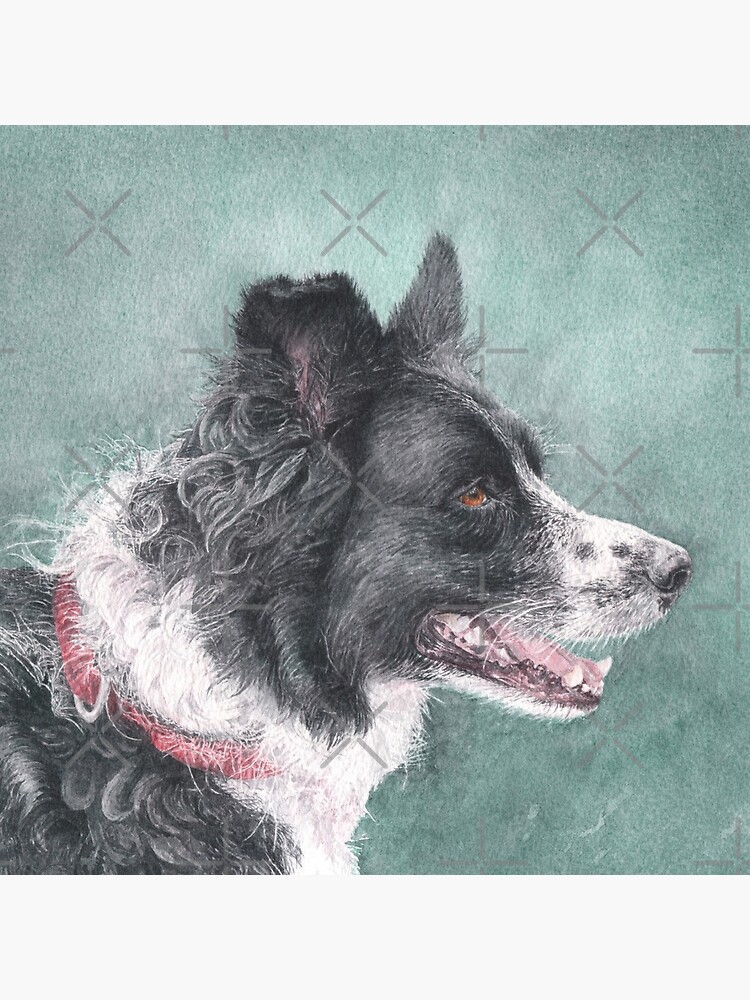 Tess the Border Collie by MotiBlack