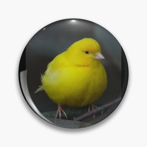 Item preview, YELLOW BIRD designed and sold by JULIO0666.