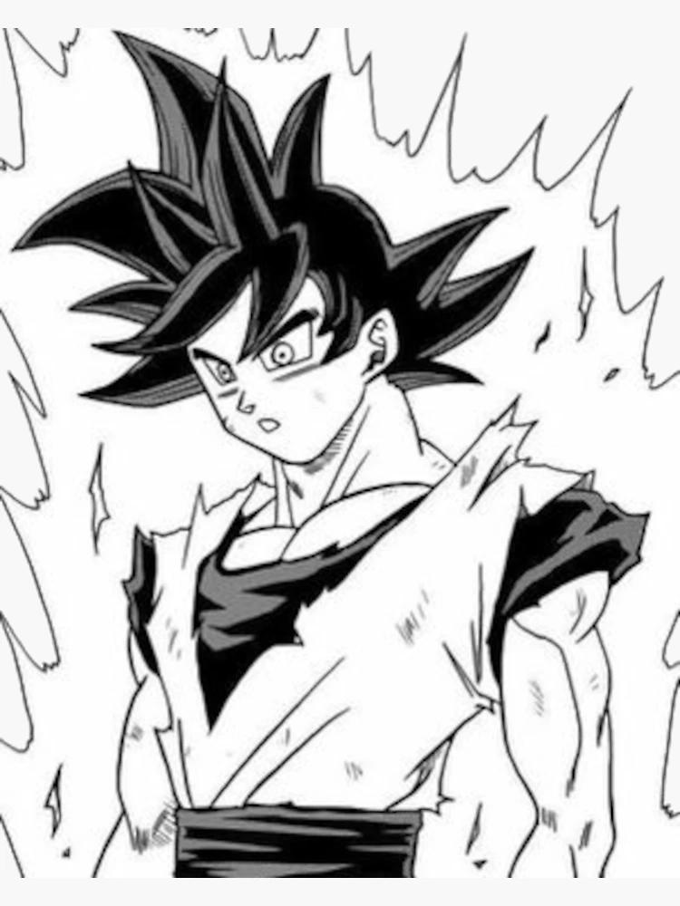 Dragon Ball Super  Primeira forma do Ultra Instinto ganha nome no mangá