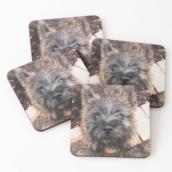 Item preview, WHAT! I wasn't doing anything. designed and sold by AlchemistStudio.