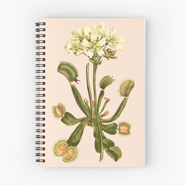 Item preview, antique venus flytrap floral flowers designed and sold by Gossip Rag.