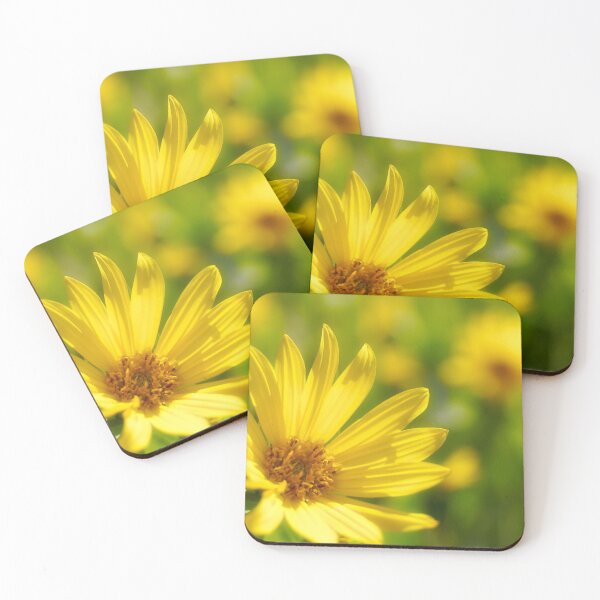 Item preview, Yellow Arrowleaf Balsamroot Flower designed and sold by Taylor Jenkins.