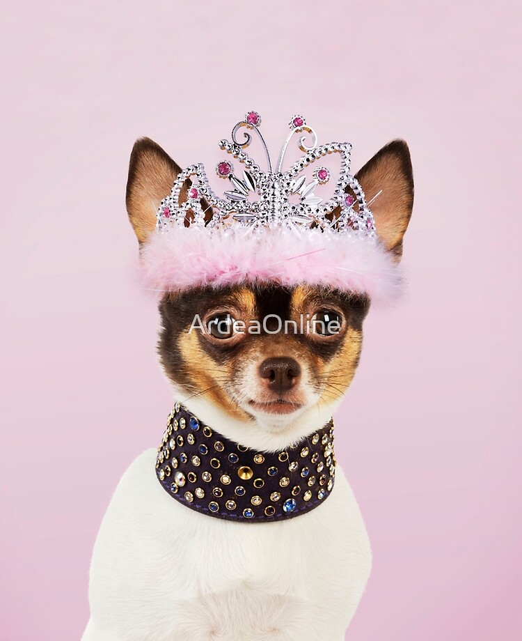 dog crowns and tiaras