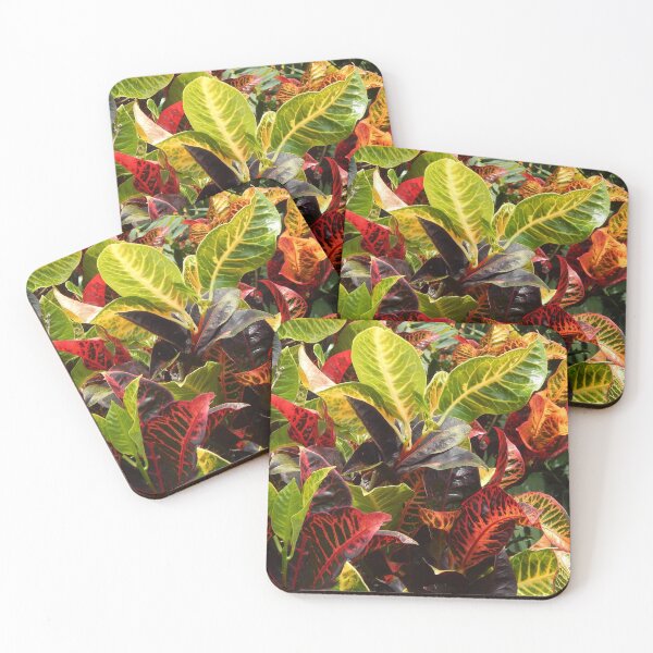 Item preview, Australian Croton Plant Floral Design designed and sold by Bennymp.