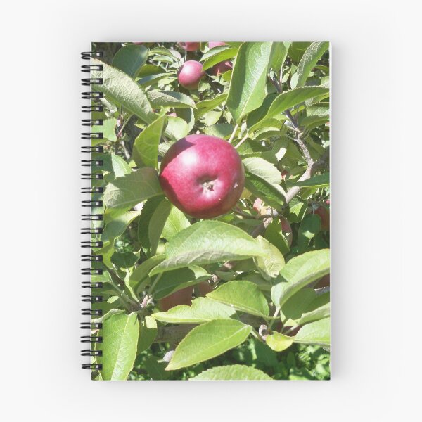 Item preview, Apple designed and sold by Jujucreation.