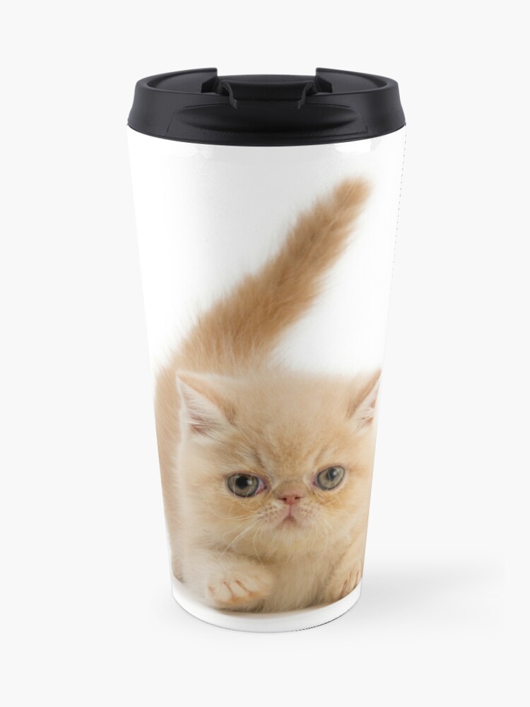 Cute Exotic Shorthair Kitten Travel Mug By Ardeaonline Redbubble