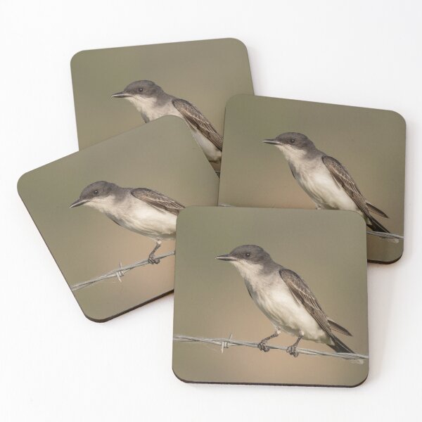 Item preview, Eastern Kingbird Perched On Barbed Wire designed and sold by FreelanceJim.