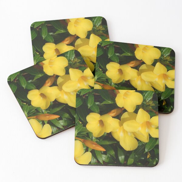 Item preview, Flowering Yellow Allamanda Plant designed and sold by Bennymp.