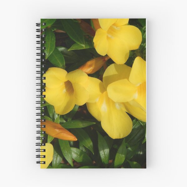 Item preview, Flowering Yellow Allamanda Plant designed and sold by Bennymp.