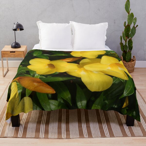 Item preview, Flowering Yellow Allamanda Plant designed and sold by Bennymp.