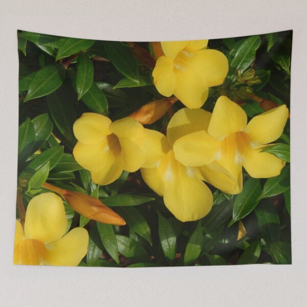 Item preview, Flowering Yellow Allamanda Plant designed and sold by Bennymp.