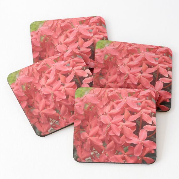 Item preview, Ixora Flowering Plant  designed and sold by Bennymp.