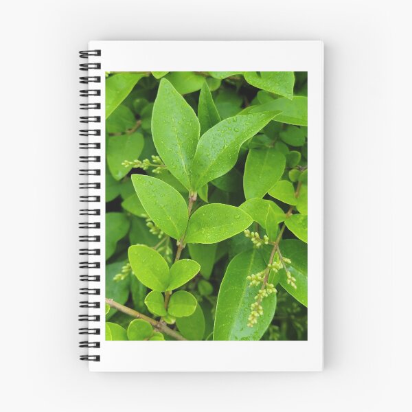 Item preview, leafs designed and sold by FeelLifeAgain.