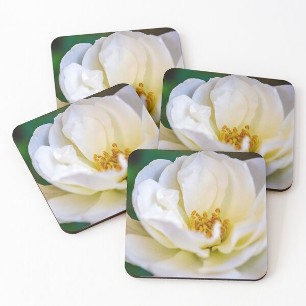 Item preview, Close up white flower petals with yellow stamen filled with pollen designed and sold by James-Cole.