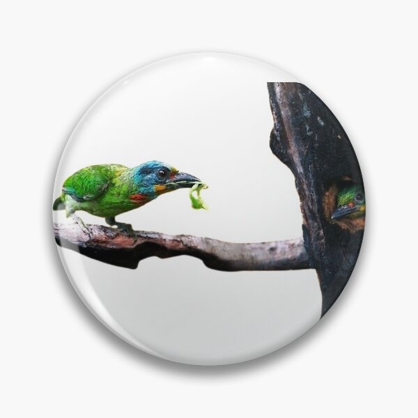 Item preview, The five-color bird is a sturdy bird. In addition to the green body, there are yellow, blue, red, black, green and other colors between the head and neck, so it is called the five-color bird designed and sold by zenger2021.
