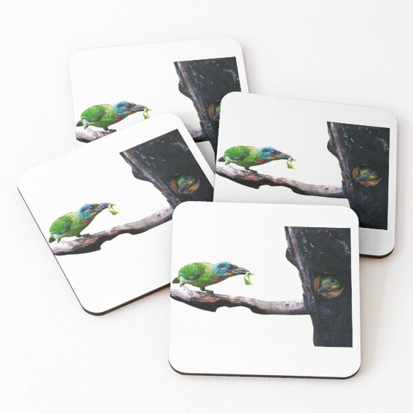 Item preview, The five-color bird is a sturdy bird. In addition to the green body, there are yellow, blue, red, black, green and other colors between the head and neck, so it is called the five-color bird designed and sold by zenger2021.