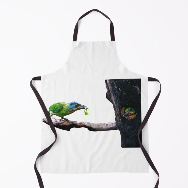 Item preview, The five-color bird is a sturdy bird. In addition to the green body, there are yellow, blue, red, black, green and other colors between the head and neck, so it is called the five-color bird designed and sold by zenger2021.