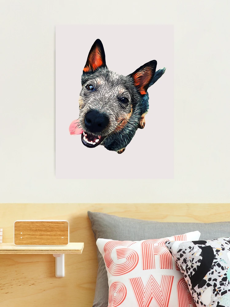 Fashion large blue heeler