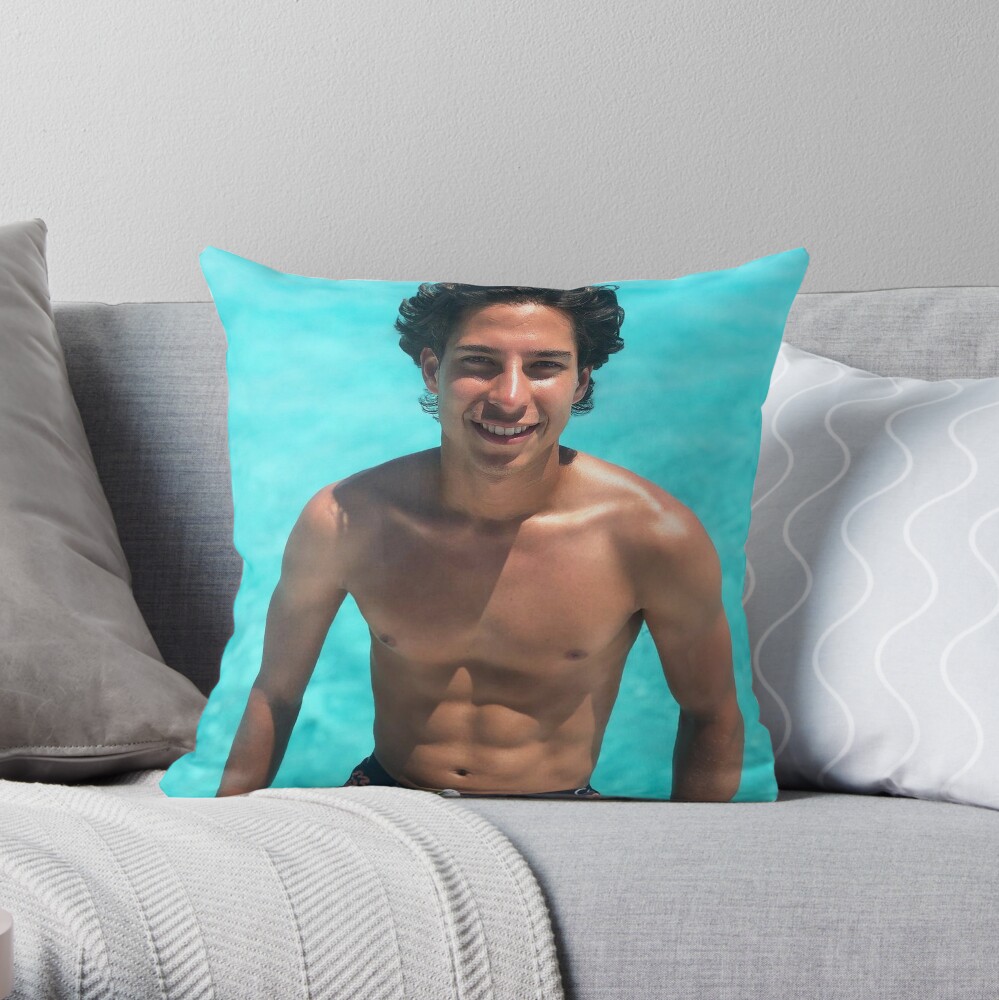 Diego Pillow, Throw Pillow, Bed … curated on LTK