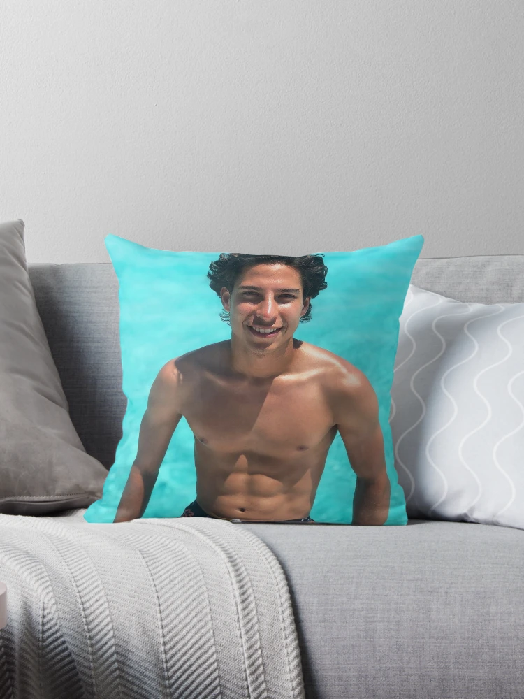 Diego Pillow, Throw Pillow, Bed … curated on LTK