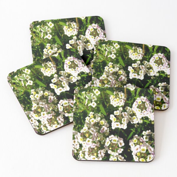 Item preview, Flowers of summer  designed and sold by nicckyt.