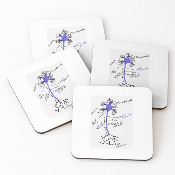 Item preview, Neuron Diagram designed and sold by NeuroNotes.