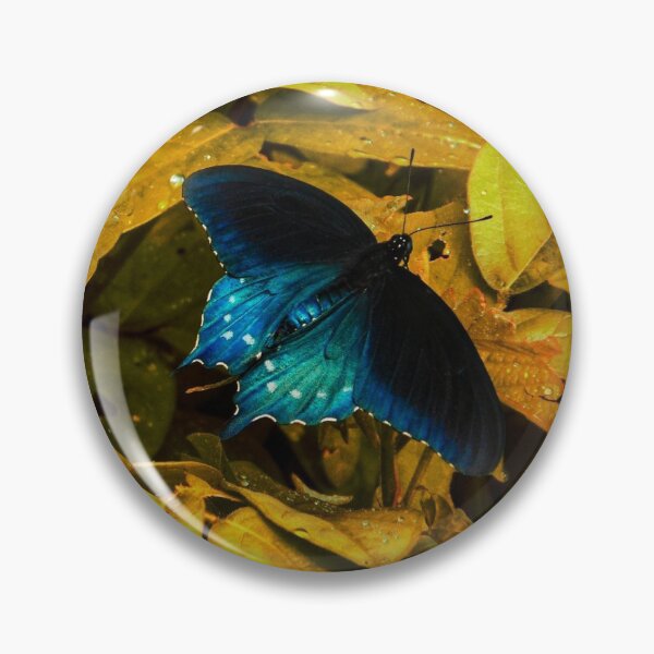 Artikelvorschau, Blauer Schmetterling entworfen und verkauft von Veronica Pollock.