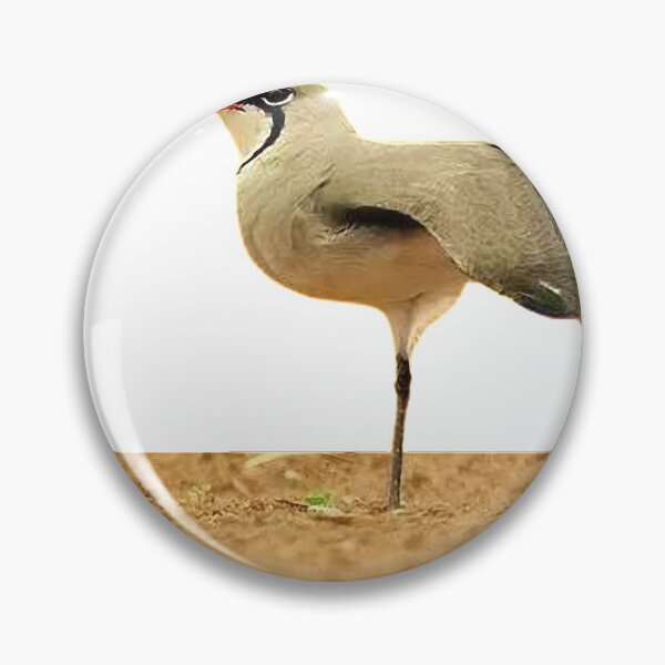 Item preview, Swallow plover (héng) pratincole, also known as swallow plover. Glareolidae (Glareolidae)  designed and sold by zenger2021.