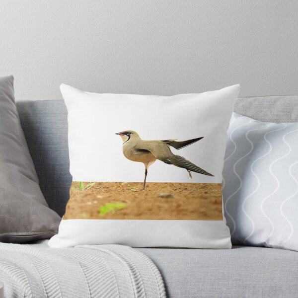 Item preview, Swallow plover (héng) pratincole, also known as swallow plover. Glareolidae (Glareolidae)  designed and sold by zenger2021.