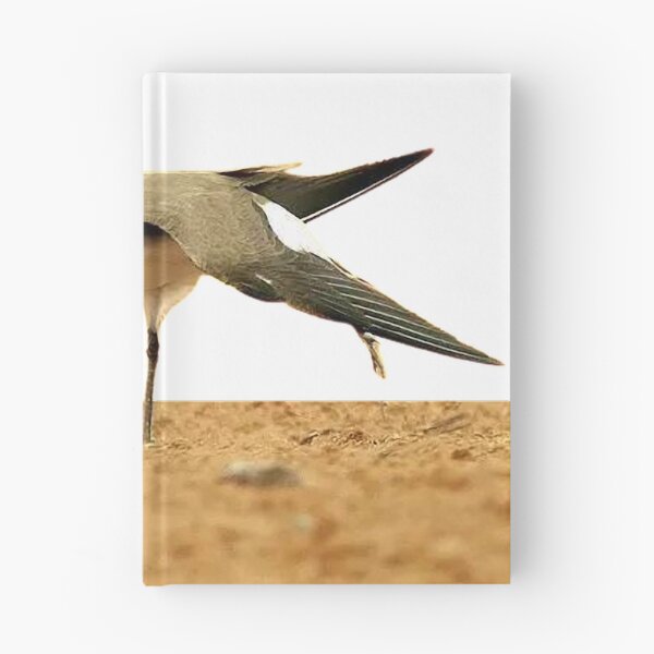 Item preview, Swallow plover (héng) pratincole, also known as swallow plover. Glareolidae (Glareolidae)  designed and sold by zenger2021.